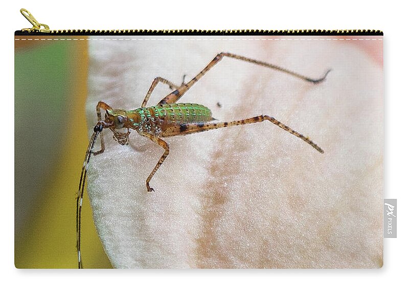 Insect Zip Pouch featuring the photograph Insect On Flower #1 by Henri Irizarri