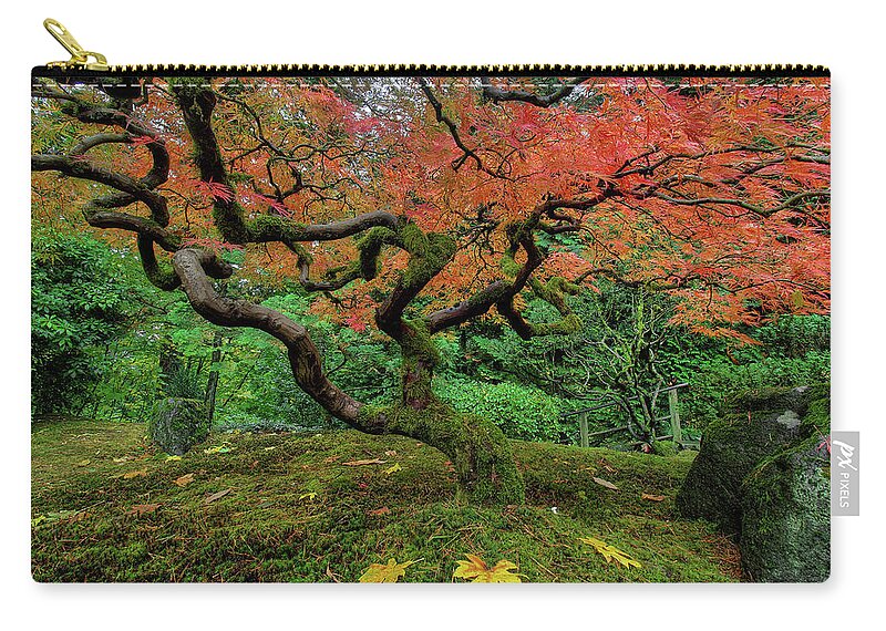 Japanese Garden Zip Pouch featuring the photograph Japanese Maple Tree in Autumn #1 by David Gn