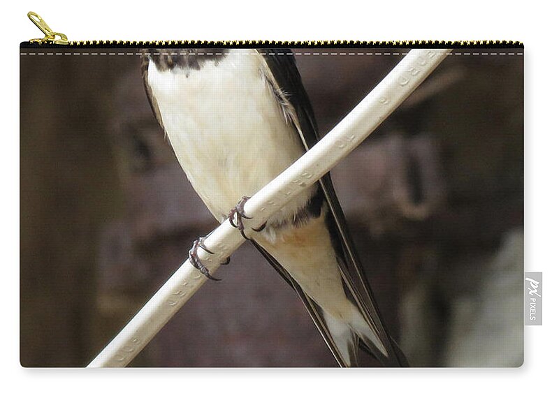 Jay Zip Pouch featuring the photograph Swallow 2 by John Topman