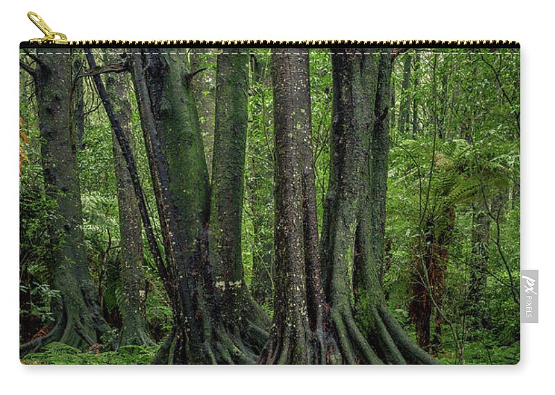 Rain Forest Zip Pouch featuring the photograph Jungle trunks 1 by Les Cunliffe