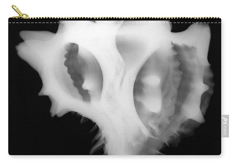X-ray Zip Pouch featuring the photograph Large Pink Murex Shell #1 by Ted Kinsman