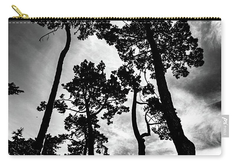Tree Zip Pouch featuring the photograph Leaning Trees #1 by Roseanne Jones