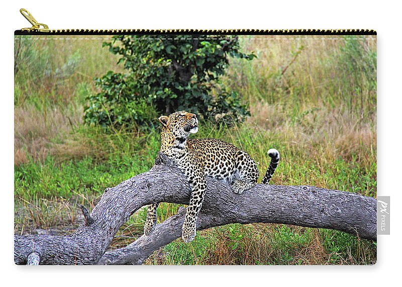 Leopard Carry-all Pouch featuring the photograph Leopard - Botswana, Africa by Richard Krebs