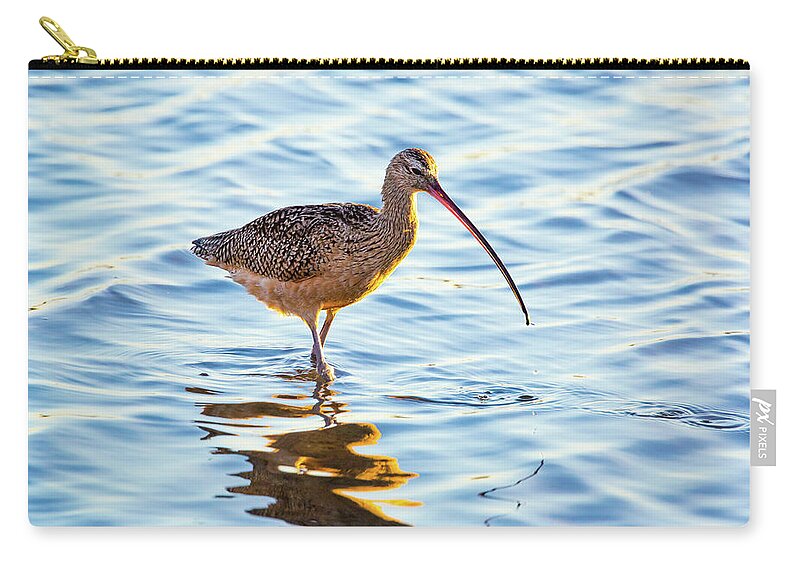 Long-billed Curlew Zip Pouch featuring the photograph Long-billed Curlew #1 by Brian Knott Photography