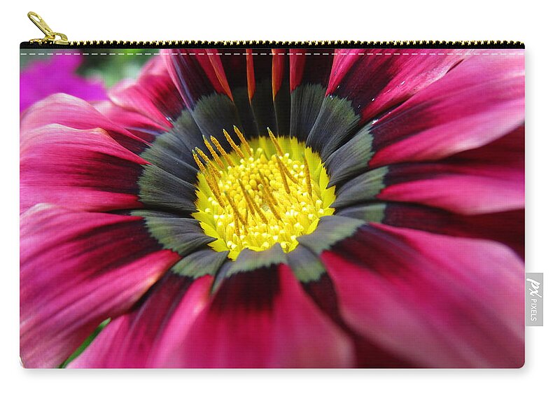 Spirited Zip Pouch featuring the photograph Look at me #1 by Rosita Larsson