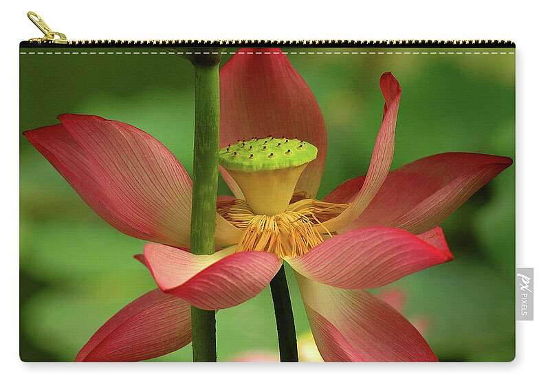 Lotus Zip Pouch featuring the photograph Lotus Flower #1 by Harry Spitz