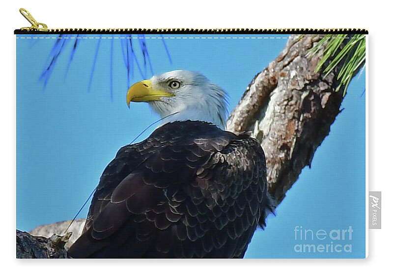  Zip Pouch featuring the photograph M15 #2 by Liz Grindstaff