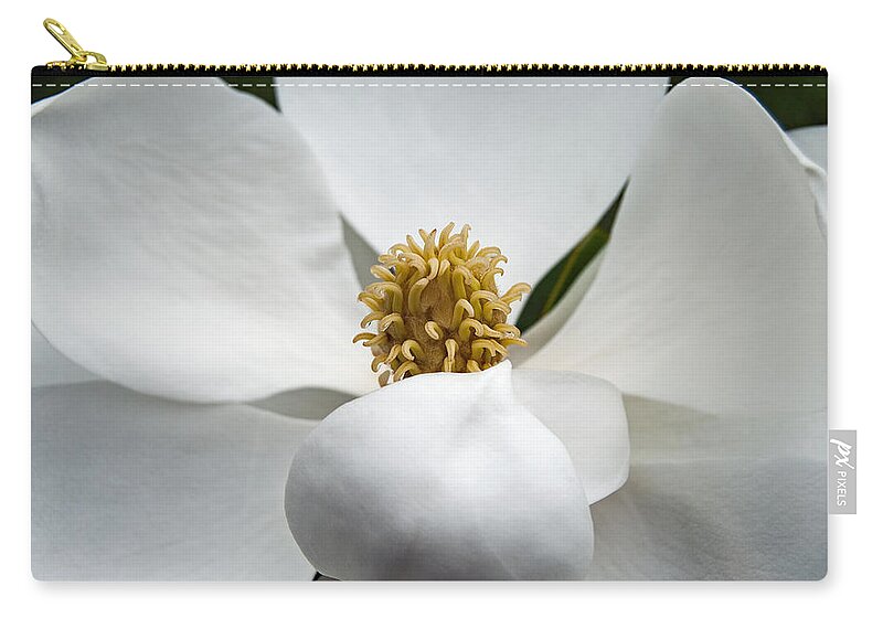 Magnolia Zip Pouch featuring the photograph Magnolia Flower #2 by Nathan Little