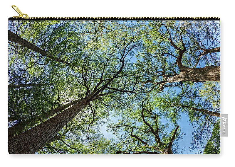 Austin Carry-all Pouch featuring the photograph Majestic Cypress Trees by Raul Rodriguez
