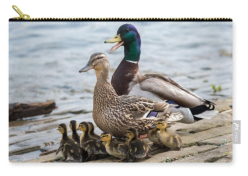 Mallard Zip Pouch featuring the photograph Mallard Duck Family #1 by Holden The Moment