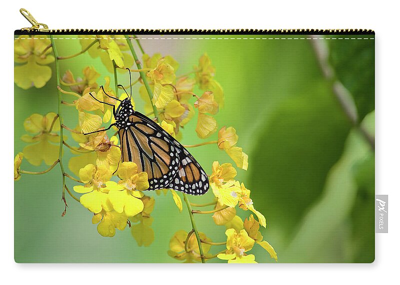 Monarch Zip Pouch featuring the photograph Monarch Butterfly on Yellow Orchids #1 by Jill Lang