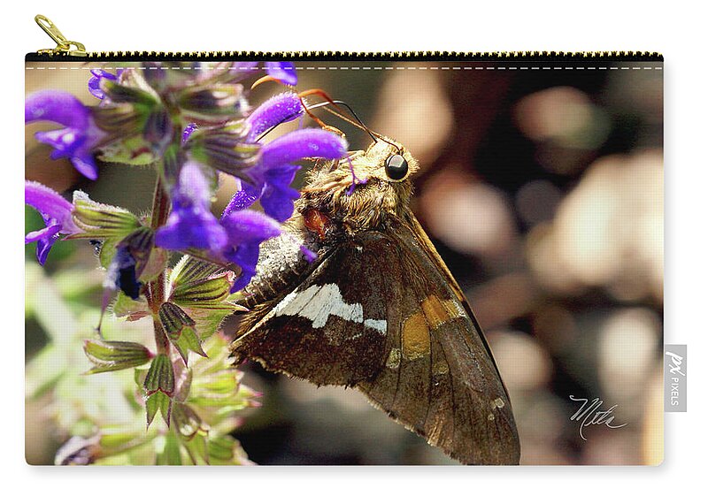 Macro Photography Zip Pouch featuring the photograph Moth snack by Meta Gatschenberger