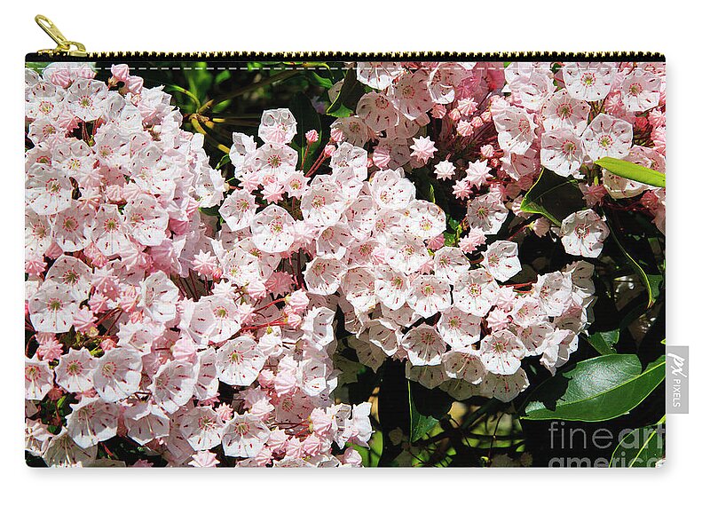 Mountain Zip Pouch featuring the photograph Mountain Laurel #1 by Jill Lang