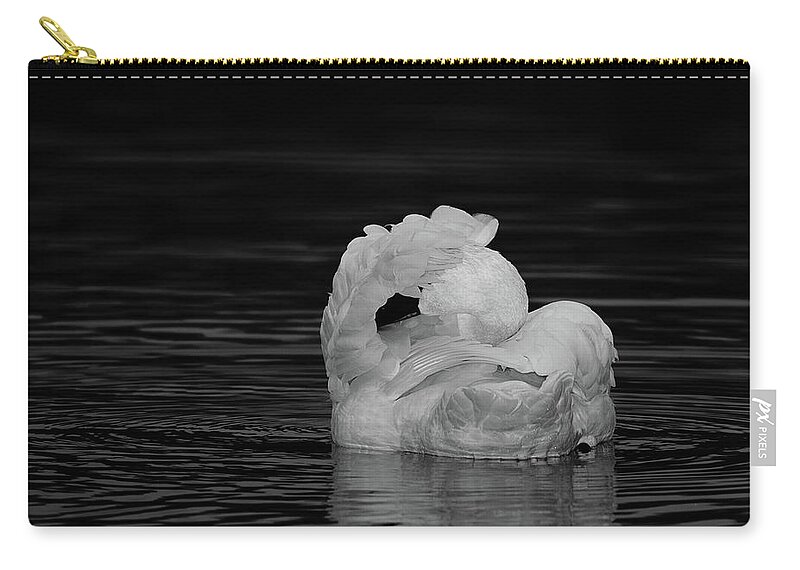 Swan Zip Pouch featuring the photograph No Pictures Please #2 by Eilish Palmer