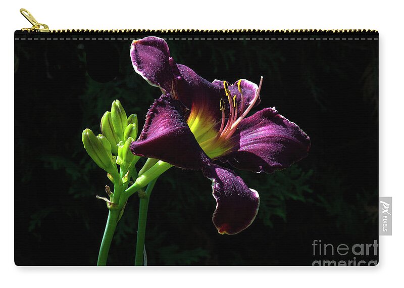 Lily Zip Pouch featuring the photograph Nobility #2 by Doug Norkum