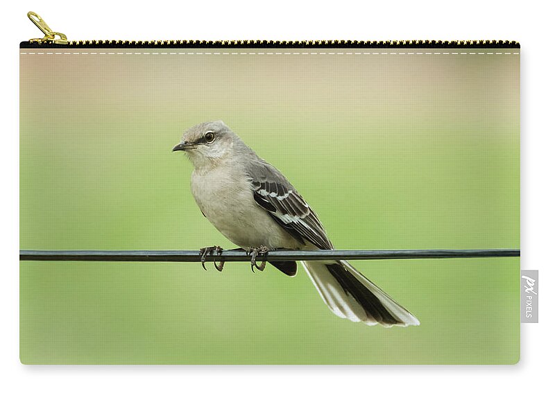 Bird Zip Pouch featuring the photograph Northern Mockingbird by Holden The Moment