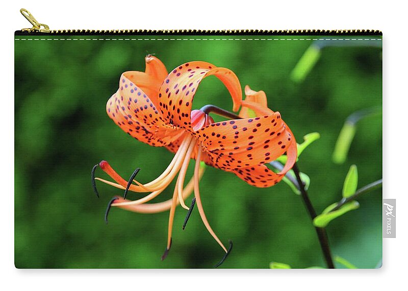 Spots Zip Pouch featuring the photograph One to Keep #1 by Michiale Schneider