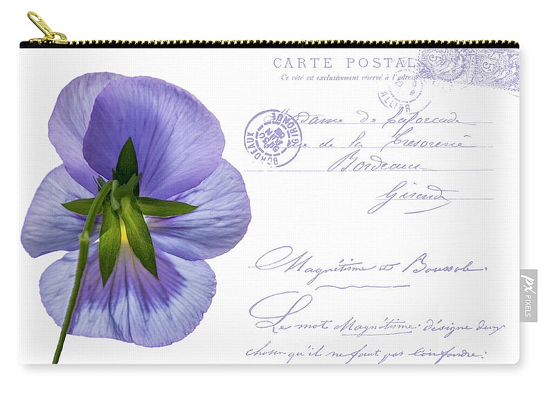 Postcard Carry-all Pouch featuring the photograph Pansy Postcard by Cathy Kovarik