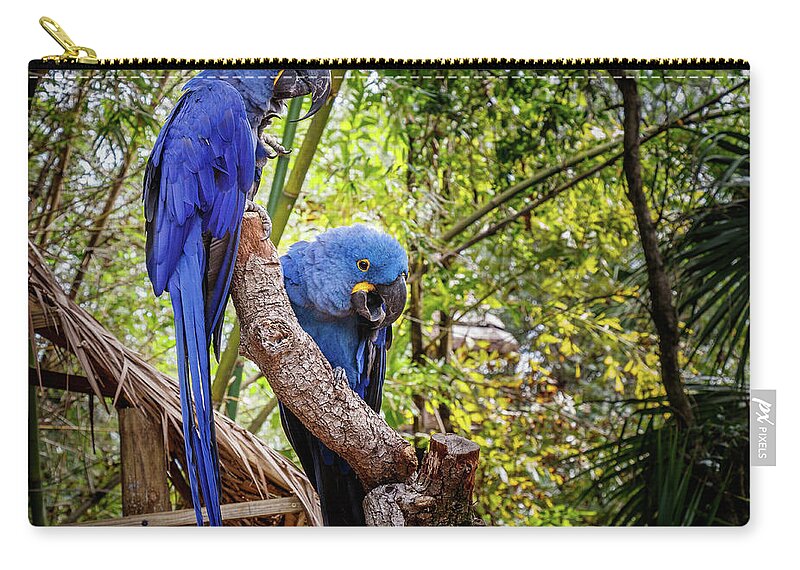 Parrots Zip Pouch featuring the photograph Parrots #1 by Les Greenwood