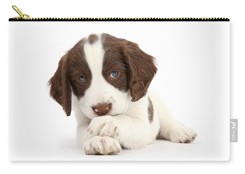 English Springer Spaniel Zip Pouch featuring the photograph Paws Crossed Pup #2 by Warren Photographic
