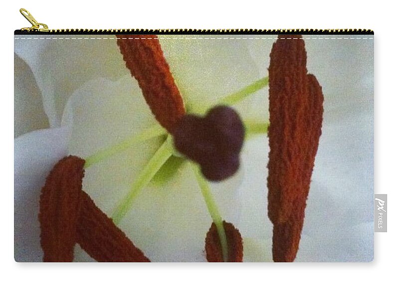 Flower Carry-all Pouch featuring the photograph Peek by Denise Railey