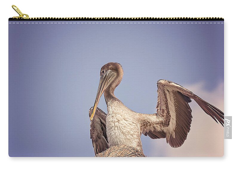 Aqua Zip Pouch featuring the photograph Pelican #1 by Peter Lakomy