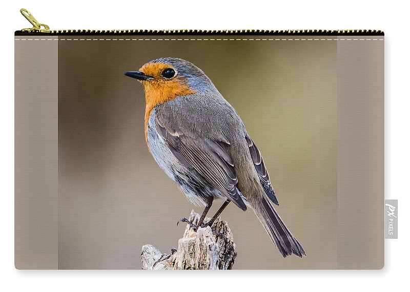 Perching Zip Pouch featuring the photograph Perching Robin by Torbjorn Swenelius