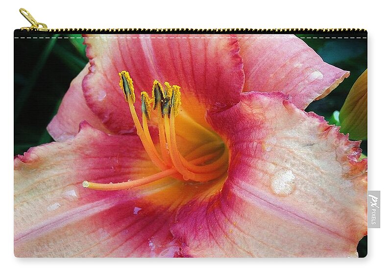 Flora Zip Pouch featuring the photograph Pink Passion #1 by Bruce Bley