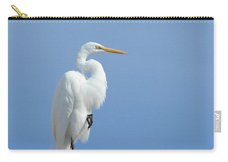 Blue-gray Gnatcatcher Zip Pouch featuring the photograph Poised #3 by Fraida Gutovich