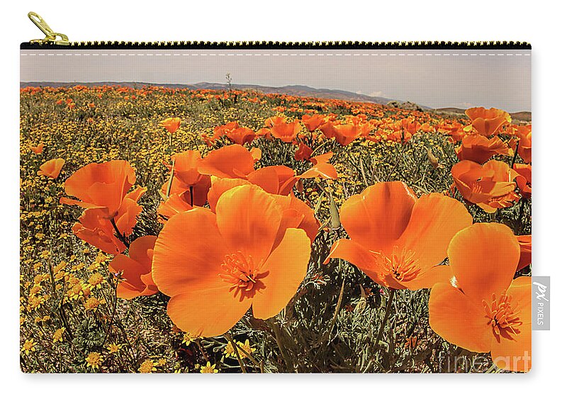 Wild Flowers Zip Pouch featuring the photograph Poppies #1 by Mark Jackson
