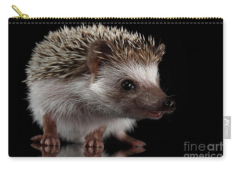 Hedgehog Zip Pouch featuring the photograph Prickly hedgehog by Sergey Taran