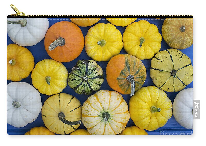 Pumpkin Zip Pouch featuring the photograph Pumpkin Pattern by Tim Gainey