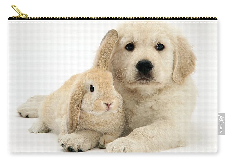 Sandy Lop Rabbit Zip Pouch featuring the photograph Puppy And Bunny #1 by Jane Burton