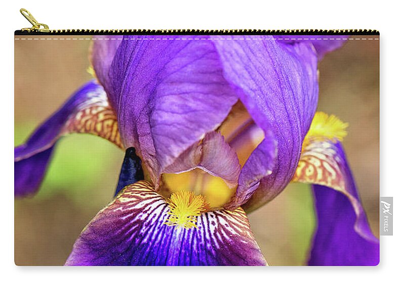 Purple Bearded Iris Print Zip Pouch featuring the photograph Purple Bearded Iris Print #1 by Gwen Gibson