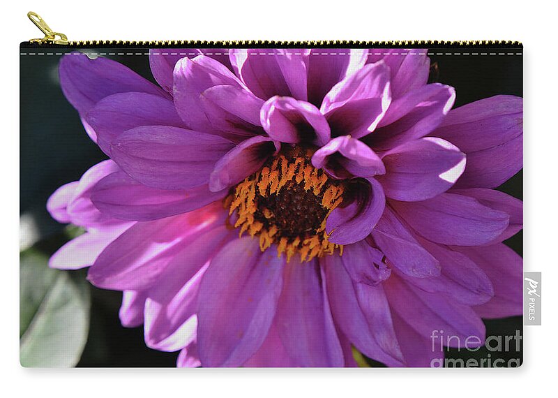 Dahlia Zip Pouch featuring the photograph Purple by Debby Pueschel