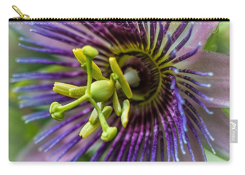Nature Carry-all Pouch featuring the photograph Purple Passion by George Kenhan
