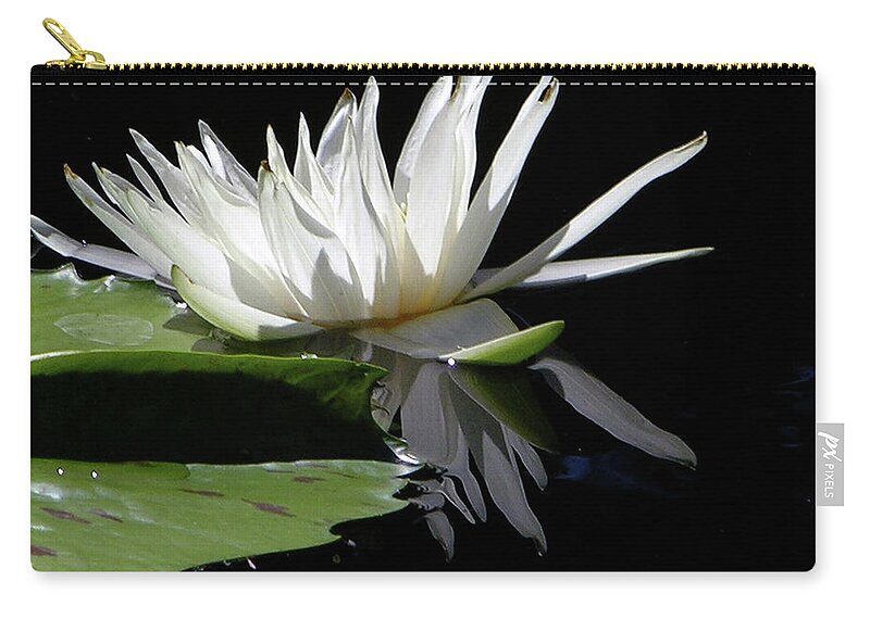 Water Lily Zip Pouch featuring the photograph Quiet Reflections #1 by John Lautermilch