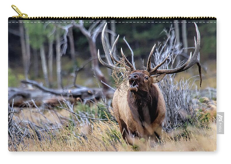 Elk Zip Pouch featuring the photograph Raging Bull by Jim Garrison