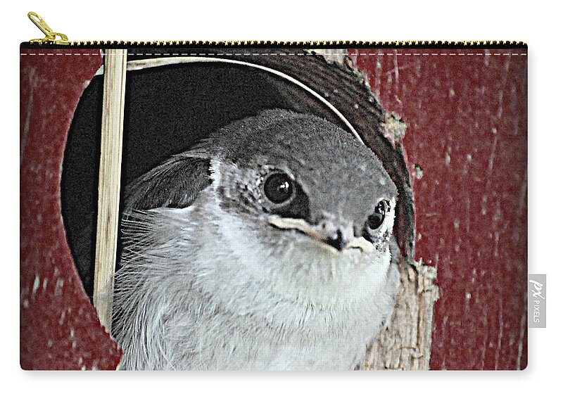 Bird Zip Pouch featuring the digital art Red Barn Birdie #1 by Kathy Sampson
