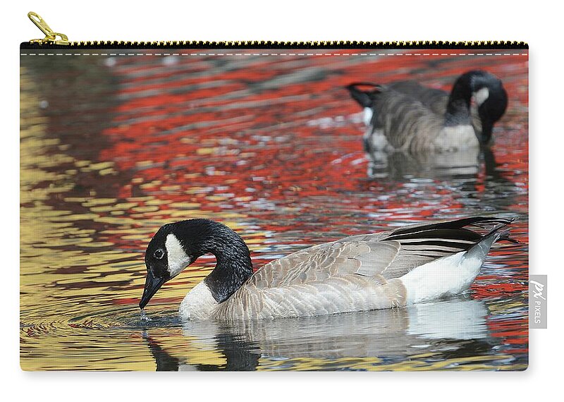 Canada Geese Zip Pouch featuring the photograph Reflections Of Autumn #1 by Fraida Gutovich