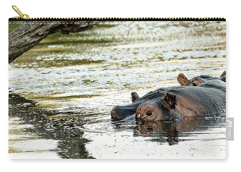 Wildlife Zip Pouch featuring the photograph Reflections #1 by Patrick Kain