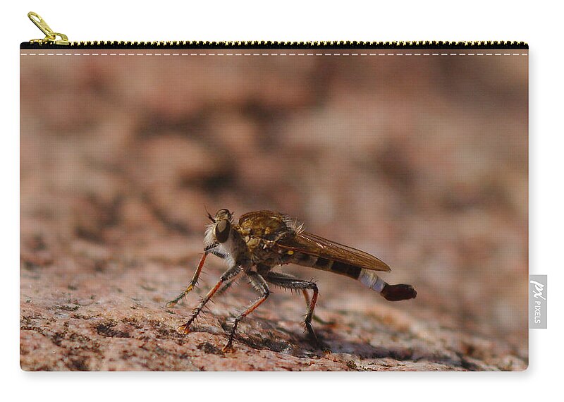 Fly Zip Pouch featuring the photograph Robber fly by James Smullins
