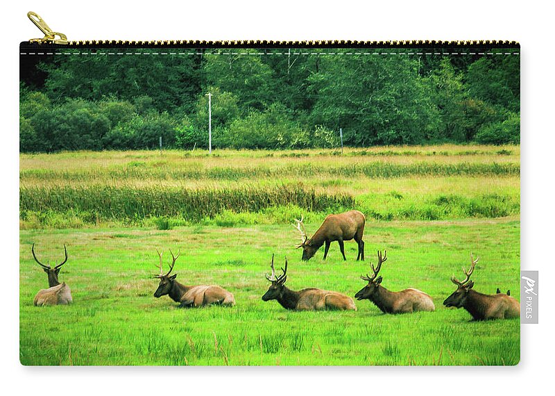 Roosevelt Elk Zip Pouch featuring the photograph Roosevelt Elk #1 by Dr Janine Williams