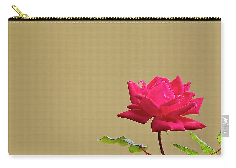 Garden Zip Pouch featuring the photograph Rose #1 by Garden Gate