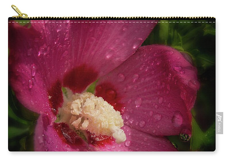 Flowers Zip Pouch featuring the photograph Rose of Sharon Hibiscus with rain drops #1 by Garry McMichael