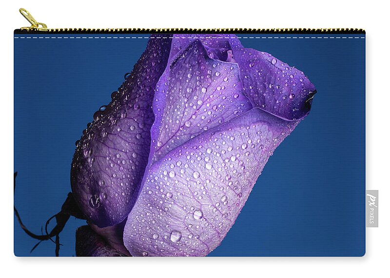 Purple Zip Pouch featuring the photograph Royalty #1 by Doug Norkum