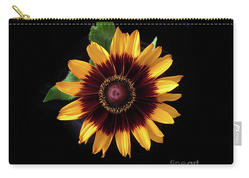 Flower Zip Pouch featuring the photograph Rudbeckia 'Denver Daisy' #1 by Ann Jacobson