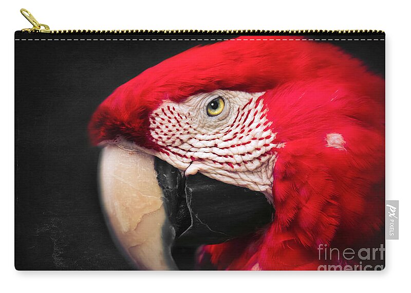 Scarlet Macaw Zip Pouch featuring the photograph Scarlet Macaw - Ara Macao #1 by Sharon Mau