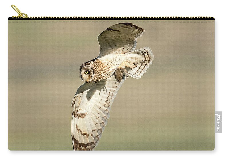 Bird Zip Pouch featuring the photograph Short Eared Owl with Prey #1 by Dennis Hammer