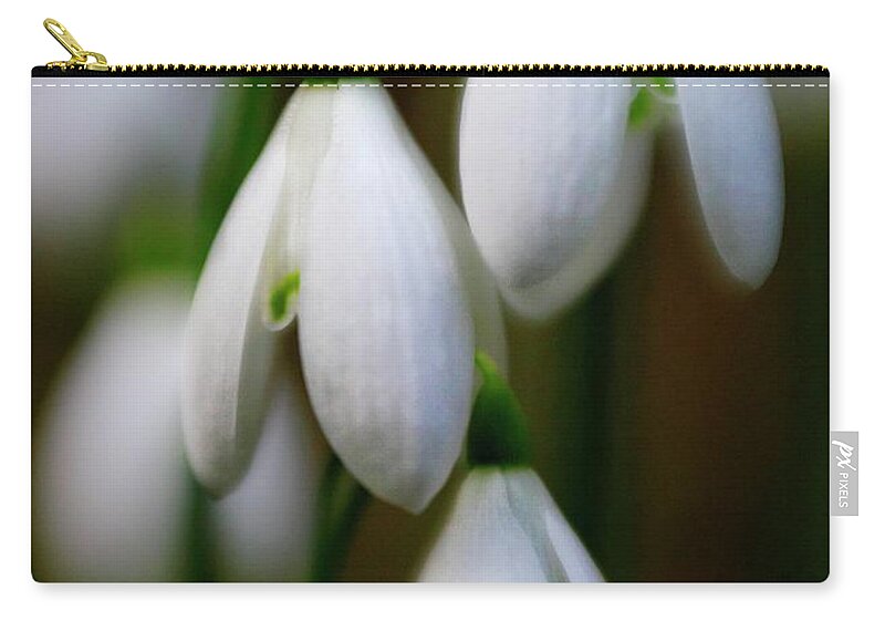 Snowdrop Zip Pouch featuring the photograph Snowdrops #1 by Martyn Arnold
